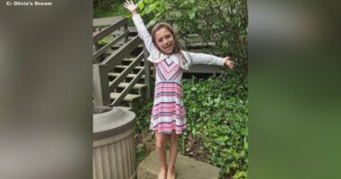 Olivia's Dream toy drive continues in honor of girl who died in Mayfield Heights house fire: How you can help