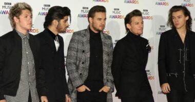 One Direction Stars 'Feel Closer Than They Have In Years' After Liam Payne's Death Sparks 'Wake-Up Call'