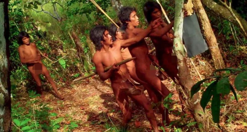 Pics reveal one of LAST uncontacted Amazon tribes who set spiked traps for outsiders & hang mysterious skull totems