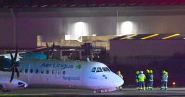 Plane crash lands at Belfast airport: Terror as passenger plane's landing gear collapses in 'hard landing' as 82mph winds batter UK