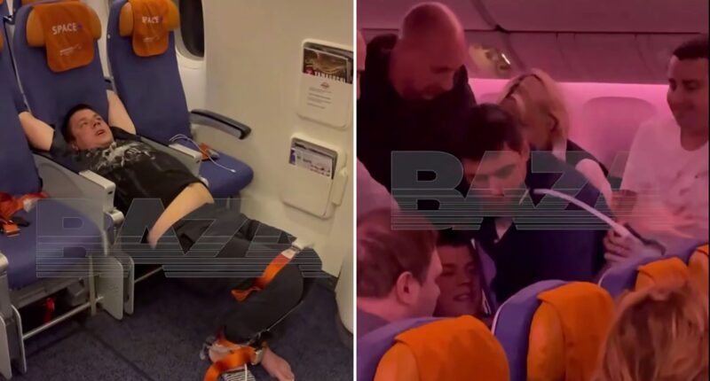 Plane makes emergency landing with ‘berserk’ passenger left tied up with SEATBELTS after trying to smash window