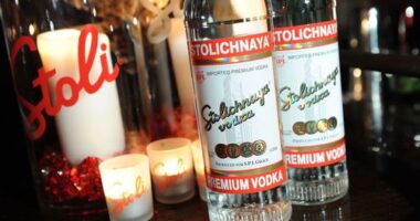 Popular vodka brand files for bankruptcy amid legal stoush with Russia