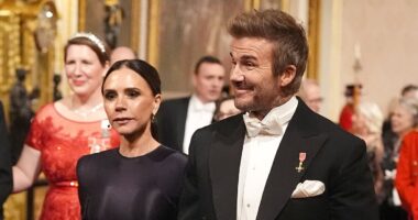 Posh's knight in shining armour! David Beckham beamed with pride as he gently guided wife Victoria through the King's Buckingham Palace Banquet... so are their invites a sign he's FINALLY back on the path to the knighthood he craves?