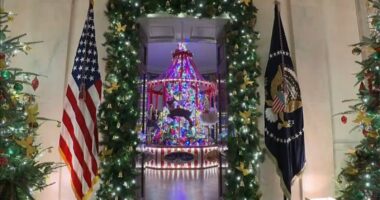 President Joe Biden, First Lady Jill Biden unveil theme for White House holiday tours: 'A Season of Peace and Light'