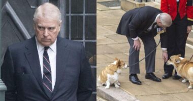 Prince Andrew Is Reportedly So 'Demoralized' By Scandals He Refuses To Walk Late Queen's Corgis