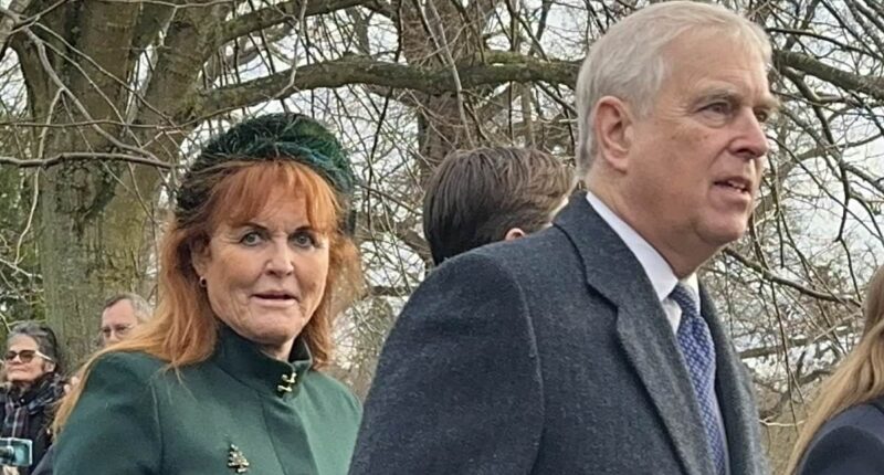 Prince Andrew and Sarah Ferguson will NOT be joining the Royal Family at Sandringham this Christmas... and 'will stay holed up in Royal Lodge' after Chinese 'spy' friend was exposed