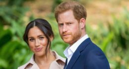 Prince Harry Is 'Genuinely Sorry' For Online Trolls Who Spread Divorce Rumors About Him And Meghan