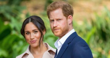 Prince Harry Is 'Genuinely Sorry' For Online Trolls Who Spread Divorce Rumors About Him And Meghan