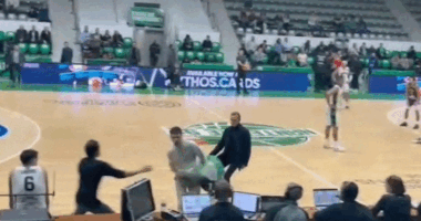 Pro-Palestinian activists storm basketball court during Israeli team’s game against France