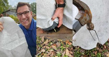 Protecting your plants properly for cold weather in Central Florida