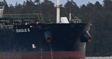 Putin 'spy ship' dragged its anchor along Baltic seabed for 60 miles to rupture cables in sabotage attack, Finland fears