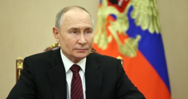 Putin makes mealy-mouthed APOLOGY after passenger plane was shot down by Russian missile killing 38