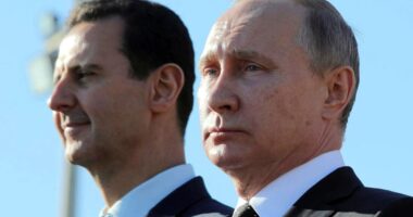 Putin ‘tearing hair out’ over Syria rebel blitz on Assad…he’s ‘bitten off more than he can chew’ with 2 wars experts say