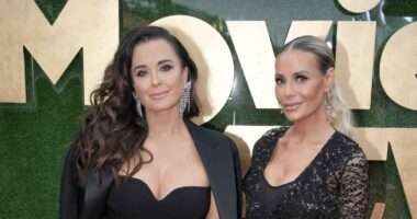 RHOBH's Dorit Says It's ‘A Stretch’ Teddi Affected Friendship With Kyle