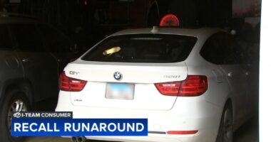 Recall runaround: Homewood woman Tracy Ford calls ABC7 I-Team amid struggle to get loaner vehicle from BMW