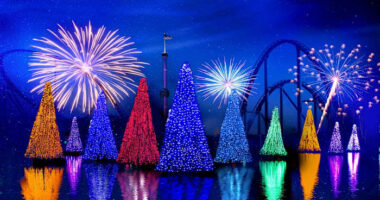 Ring in 2025 with spectacular New Year’s Eve celebration at SeaWorld Orlando