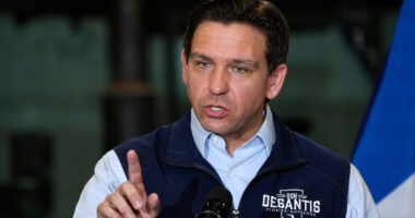 Ron DeSantis, Joni Ernst potential Trump defense secretary nominees if Hegseth drops out: Sources