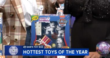 Sam's Toy Box: Budget-friendly toys