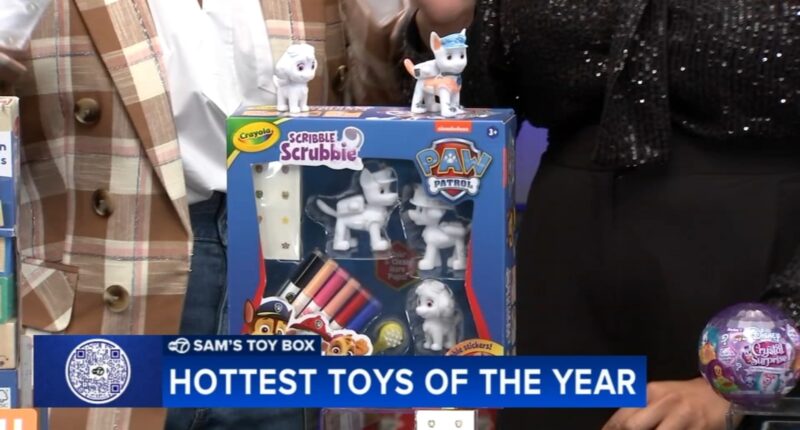 Sam's Toy Box: Budget-friendly toys