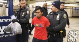 Sanctuary city New York pressured to make drastic change after illegal migrant allegedly burns woman alive