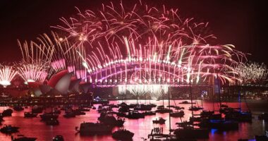 Say hello to 2025! Hundreds of thousands of Australians watch spectacular fireworks display in Sydney as rest of the world prepares to welcome the New Year