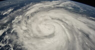 Scientists warn of impending 'Ultra-​Intense Category 6' storm