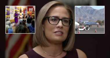 Sinema used campaign funds to splurge on trips, group says