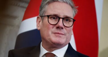 Sir Keir Starmer has ‘Surrender Squad’ ready to junk Brexit for closer EU ties, experts claim