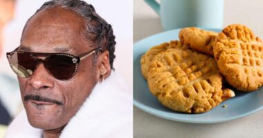 Snoop Dogg’s Peanut Butter-Chocolate Chip Cookie Recipe Is A Holiday Game-Changer