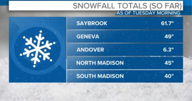 Snow totals are in for Northeast Ohio and...WOW!