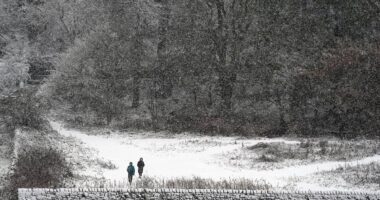 Snow way! UK Weather map reveals where snow will fall on New Year's Eve - as Met Office issues a 'danger to life' yellow warning