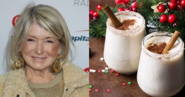 Spice Up The Holidays With Martha Stewart’s Signature Eggnog