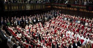 Starmer risks fresh crony row by appointing 30 new Labour peers – including former right-hand woman Sue Gray