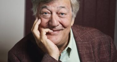 Stephen Fry is knighted for his services to mental health awareness as he leads long list of TV and film stars included in the New Year's Honours list