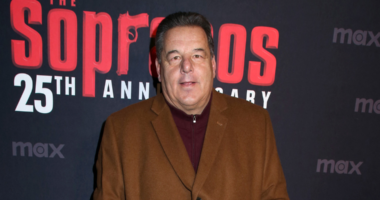 Steve Schirripa From 'The Sopranos' Partners With FreshPet For Mob-Inspired Commercial