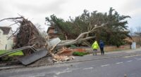 Storm Darragh claims first victim when falling tree smashes into van as path of destruction wrought by 93mph gales that left thousands without power is laid bare in shocking pictures