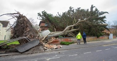 Storm Darragh claims first victim when falling tree smashes into van as path of destruction wrought by 93mph gales that left thousands without power is laid bare in shocking pictures