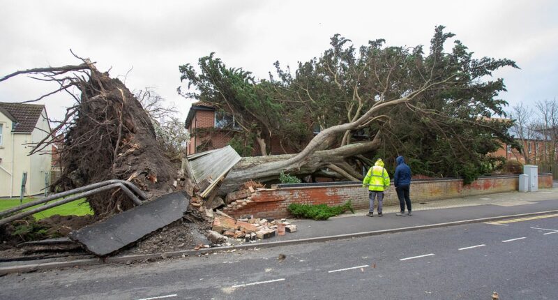 Storm Darragh claims first victim when falling tree smashes into van as path of destruction wrought by 93mph gales that left thousands without power is laid bare in shocking pictures