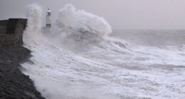 Storm Darragh claims its second victim as man is killed by falling tree landing on his car - while thousands of homes are still without power following brutal 96mph gales