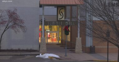 Summit County Sheriff's Office: 20 juveniles arrested following 'several altercations' at Summit Mall