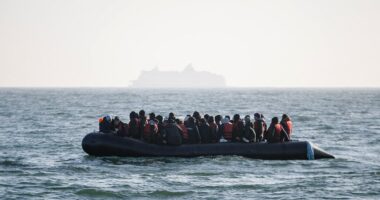 Syrians at Calais say they will STILL make the crossing to Britain despite Assad being toppled because UK 'has work and everything we need'