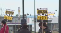 Teamsters organize picket outside Akron Amazon facility while Amazon claims they're bringing in outsiders to demonstrate due to lack of support