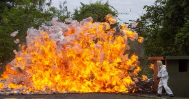 Ten tons of cocaine worth £200m set ablaze in Dominican Republic in massive victory in war on drug gangs