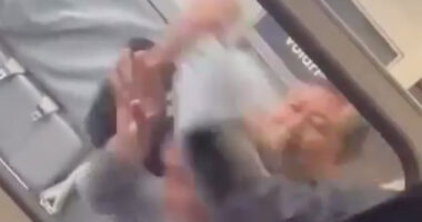 Terrifying moment passengers wrestle plane hijacker who tried to storm cockpit & open plane door