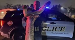 Texas police officer criticized for photo with mountain lion