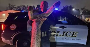 Texas police officer criticized for photo with mountain lion