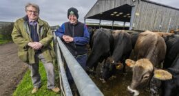 The 're-engineering of the cow' that's sparked a new eco-war: There's even more Bovaer in the food chain than anyone realised...and it has sparked an epic battle among shoppers and farmers