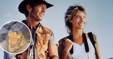 The Crocodile From ‘Crocodile Dundee’ Dies At 90, But Is Paul Hogan Still Alive?