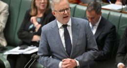 Anthony Albanese's boasts about Australia's superior economic position has come back to bite him after New Zealand slashed its interest rate to make them lower than over here