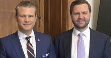 The 'cunning reason' JD Vance is fighting for Pete Hegseth to become the Defense secretary